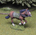 Medieval Warhorse 4